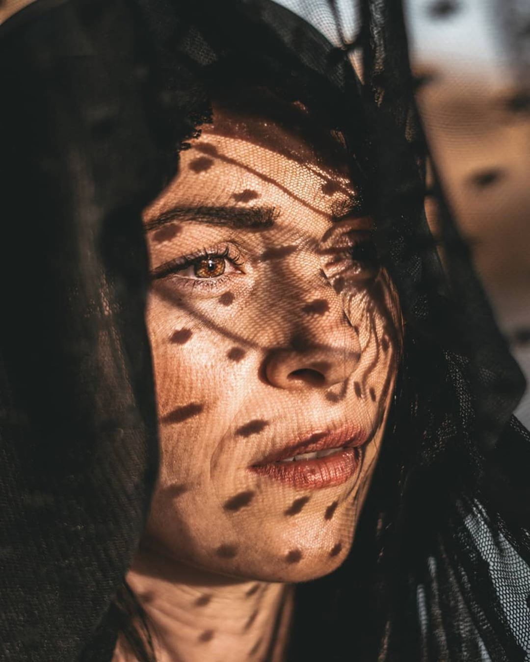 vinci. (jugador6921.lens) Lens social identity (.lens handle) PFP