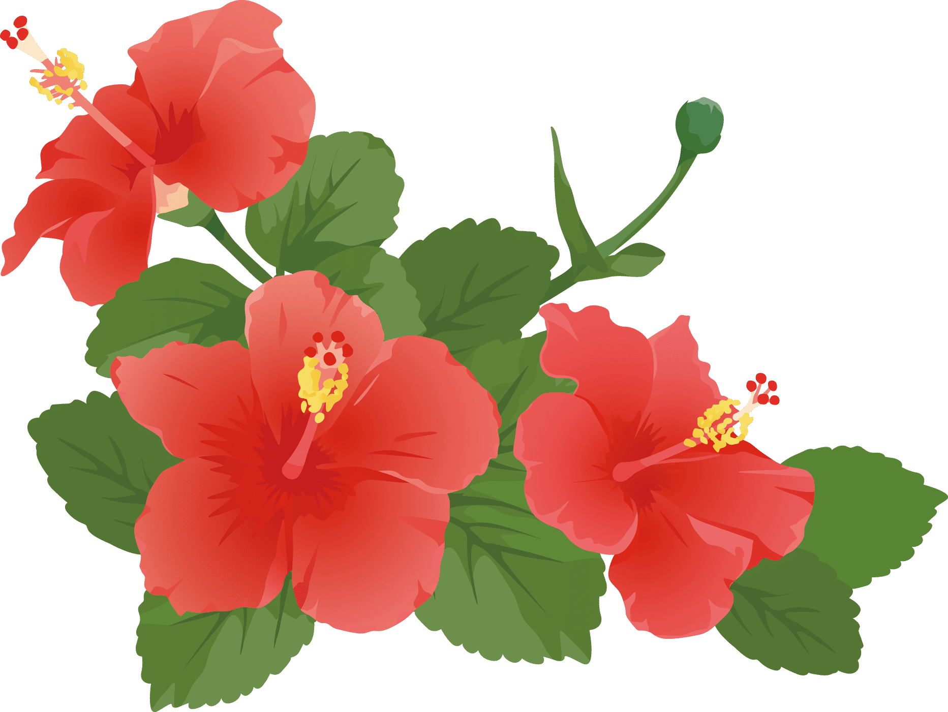 ichikom (ichikom.lens) Lens social identity (.lens handle) PFP