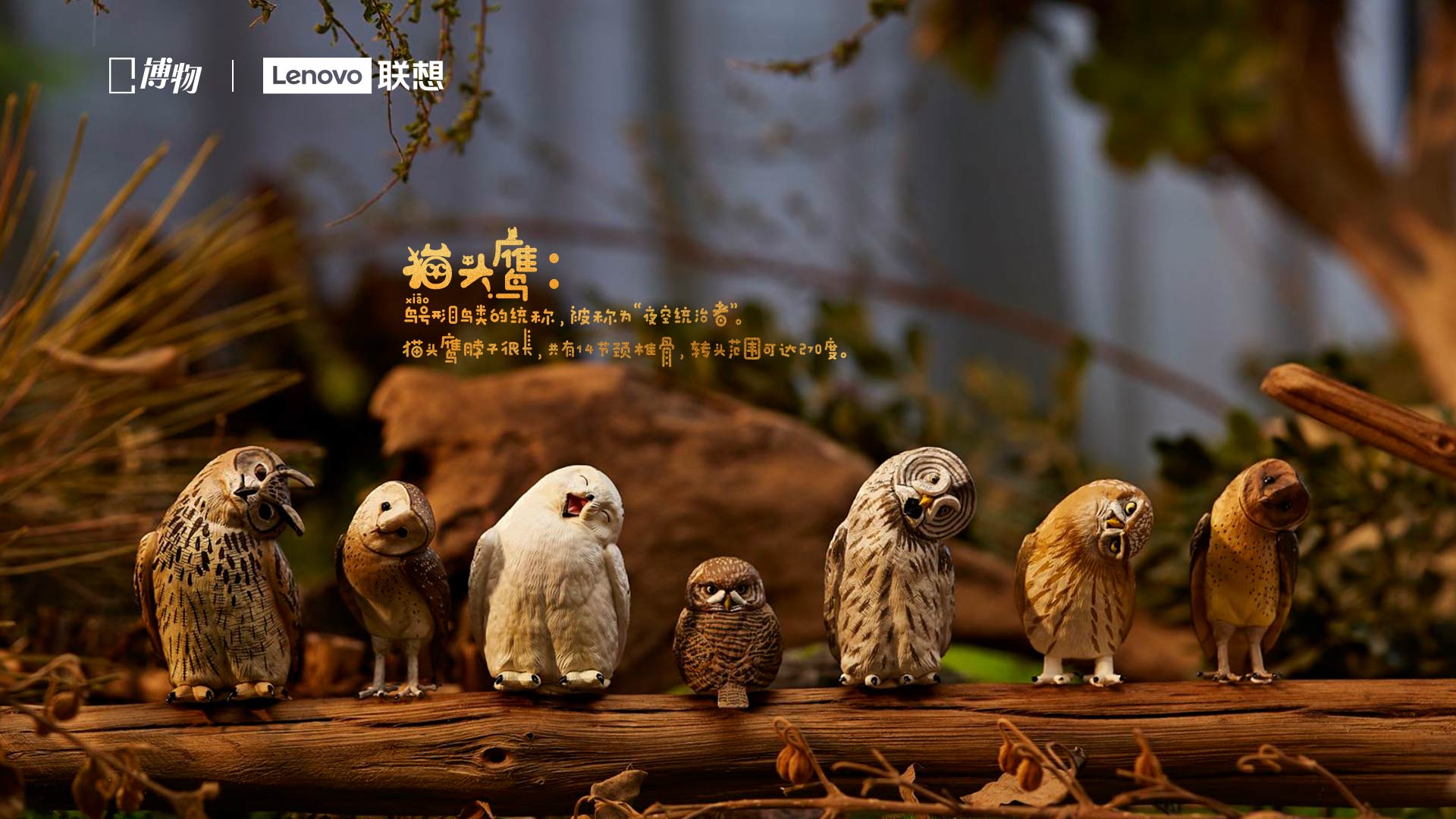 bnuyzy.lens Lens social identity (.lens handle) PFP