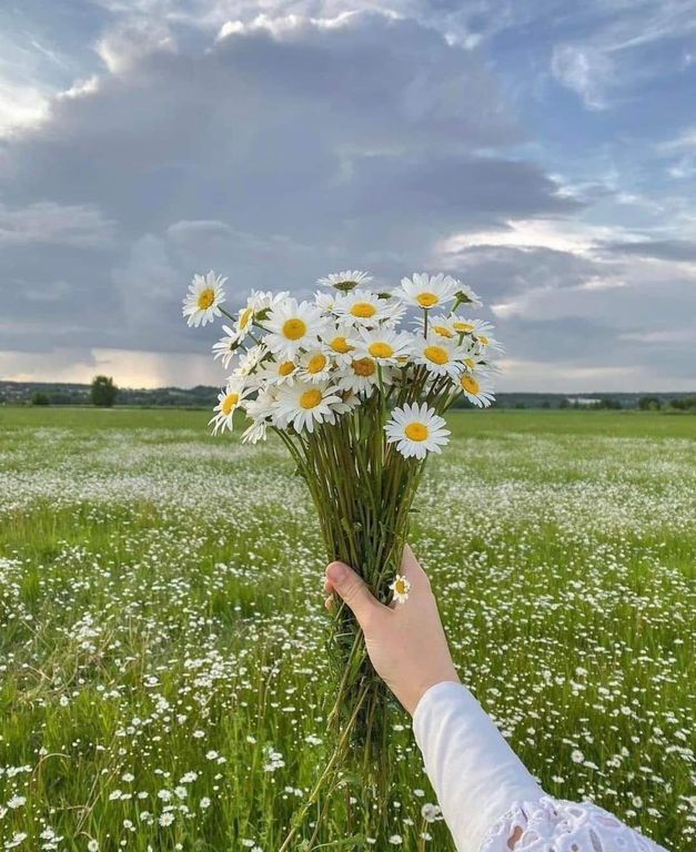 Ammnaka (armtwt.lens) Lens social identity (.lens handle) PFP