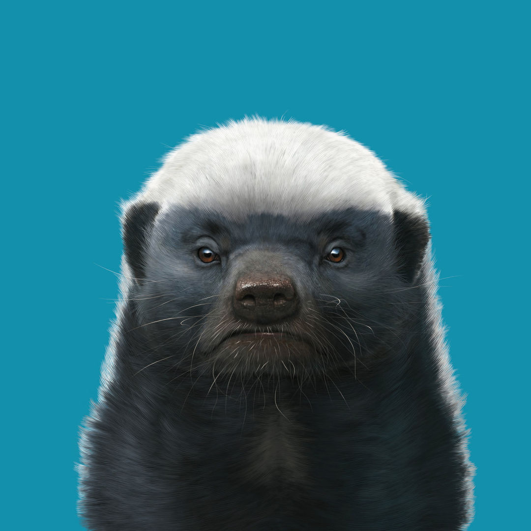 Modin (modin.lens) Lens social identity (.lens handle) PFP