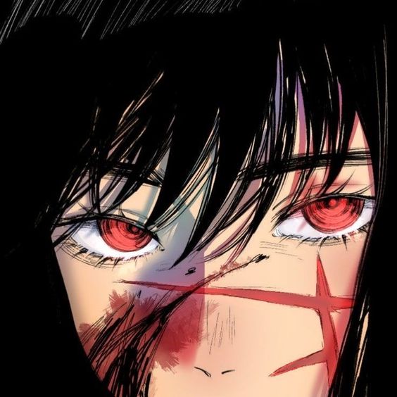 yolo's Lens avatar