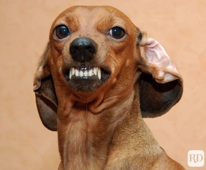 Future income (futureincome.lens) Lens social identity (.lens handle) PFP