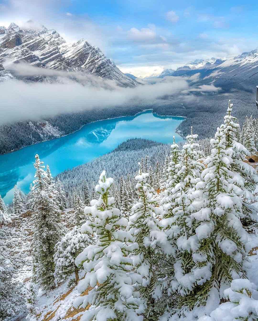 Peyto Lake, Banff National Park in Canada