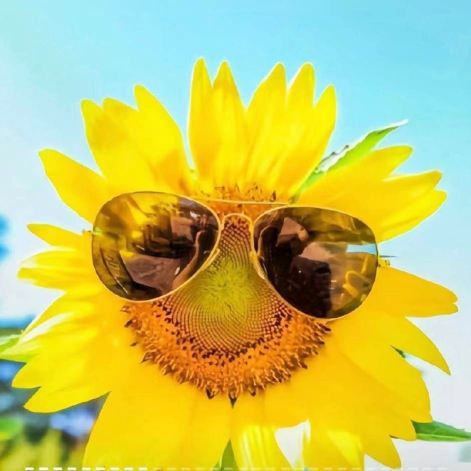 1511fghryjedy (cfgb21vcgbf.lens) Lens social identity (.lens handle) PFP