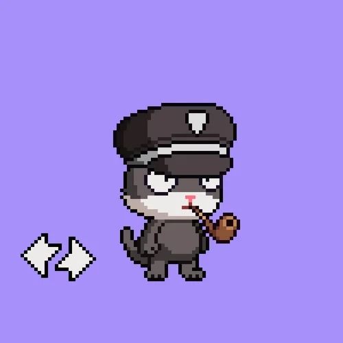 nohitori's Lens avatar