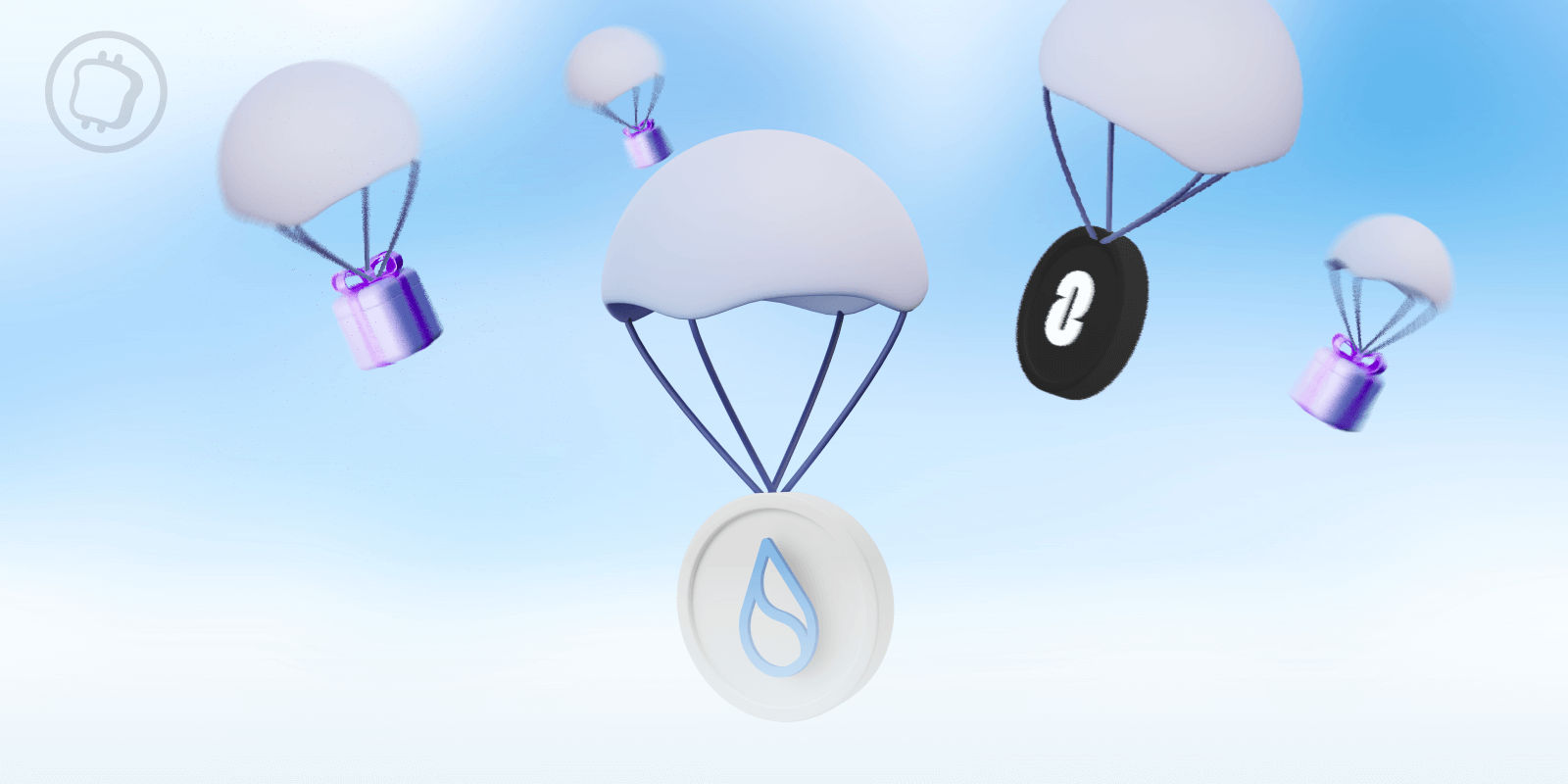 Simk's Lens avatar