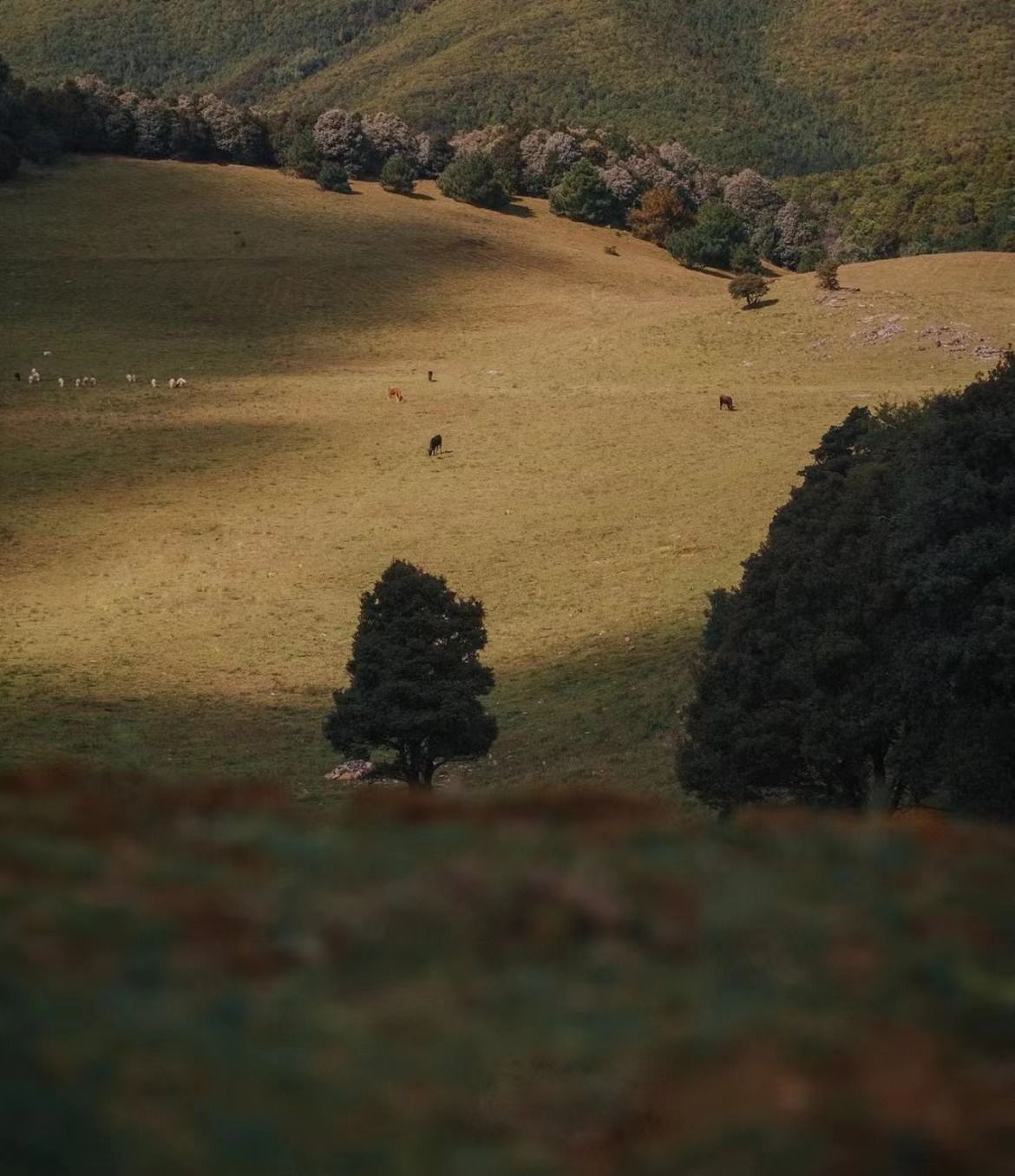 d4Gse0p (d4gse0p.lens) Lens social identity (.lens handle) PFP