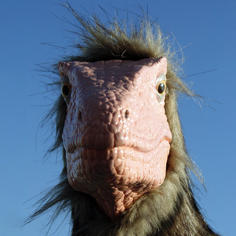 Evgeny's Lens avatar
