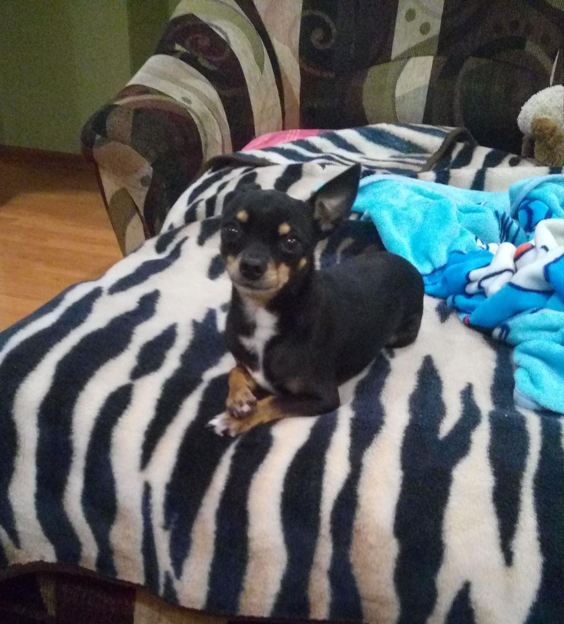 alekseyraa (alekseyraa.lens) Lens social identity (.lens handle) PFP