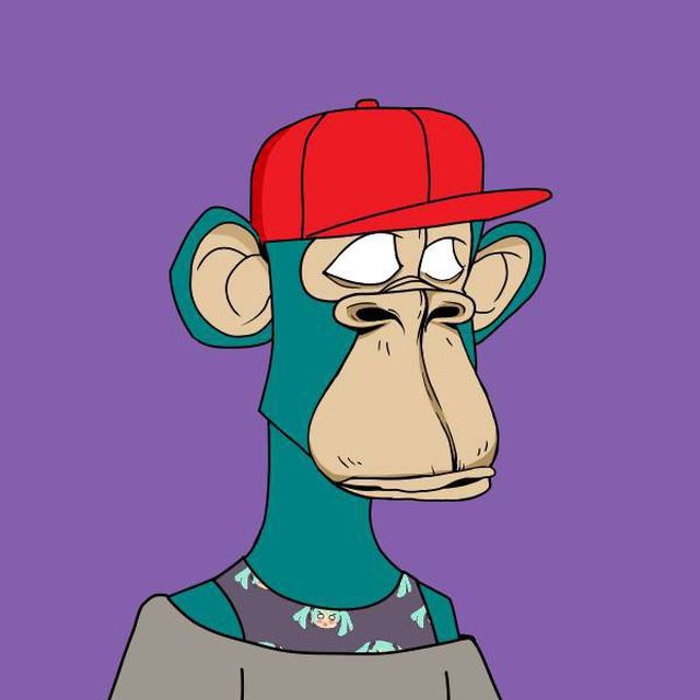 Aleks's Lens avatar