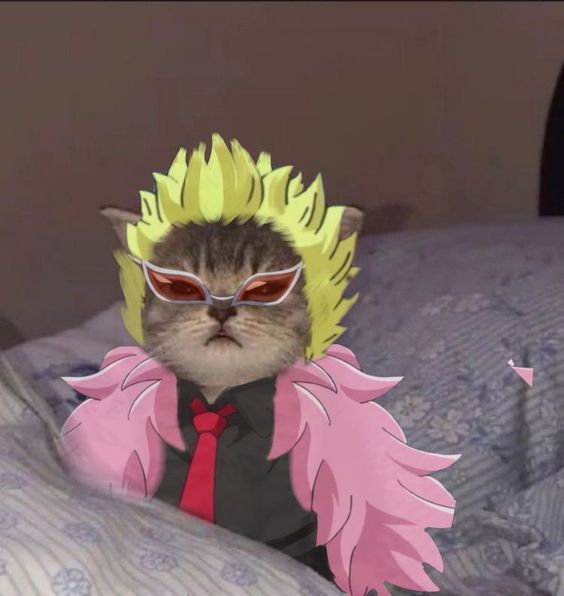 drBear (drbear.lens) Lens social identity (.lens handle) PFP