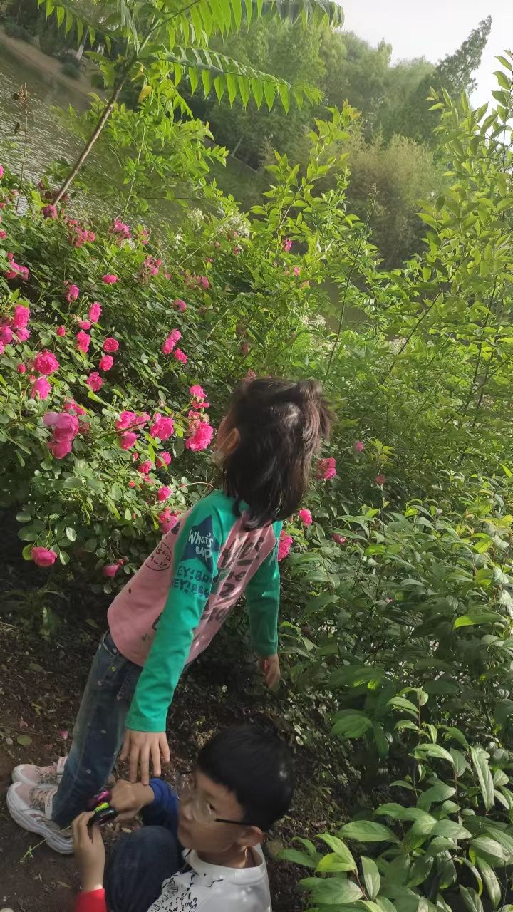 yuyu (yu0016.lens) Lens social identity (.lens handle) PFP