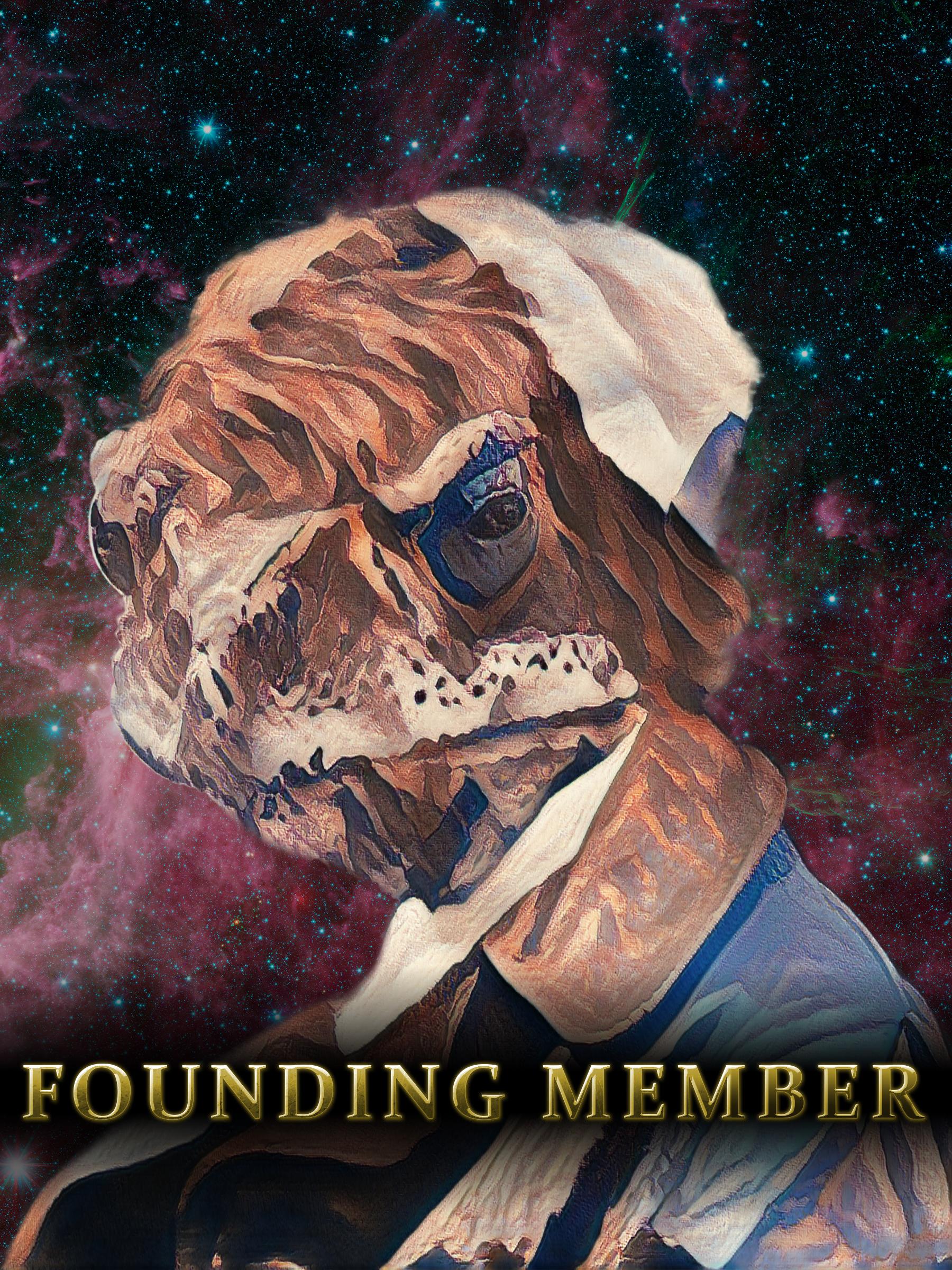 Arian's Lens avatar