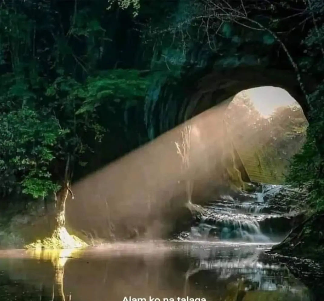 jesus (yosua.lens) Lens social identity (.lens handle) PFP