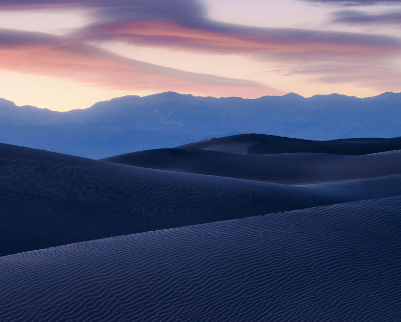 william (williamlens.lens) Lens social identity (.lens handle) PFP