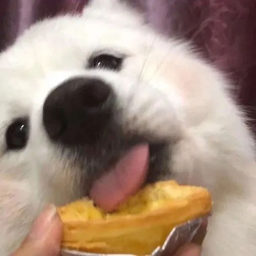 telleport (dhhsiio.lens) Lens social identity (.lens handle) PFP