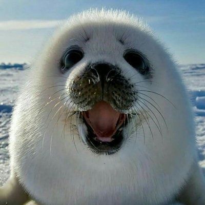 mailetu (let0205.lens) Lens social identity (.lens handle) PFP