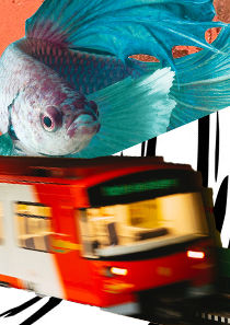 danielleyta (danielleyta.lens) Lens social identity (.lens handle) PFP