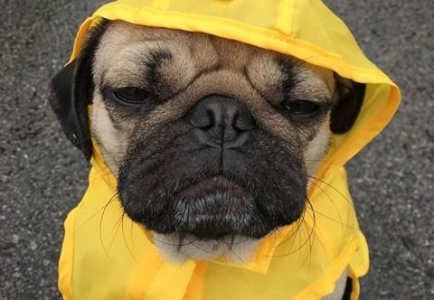 alexandre gv (alexandregv.lens) Lens social identity (.lens handle) PFP