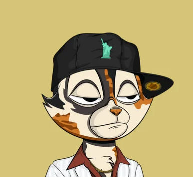 tudick's Lens avatar