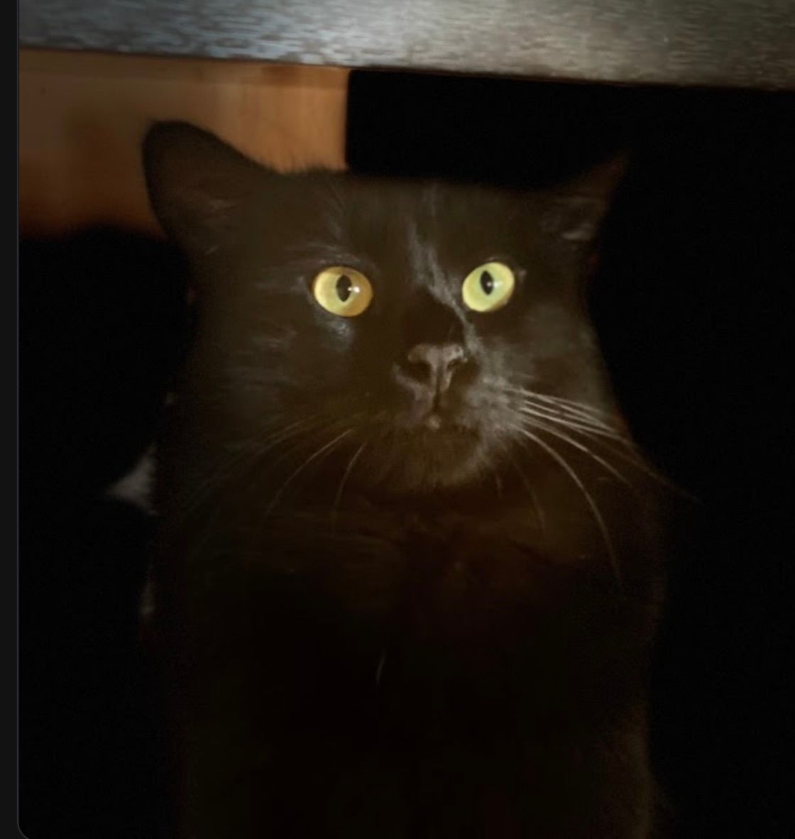 KaraKanka (karakanka.lens) Lens social identity (.lens handle) PFP