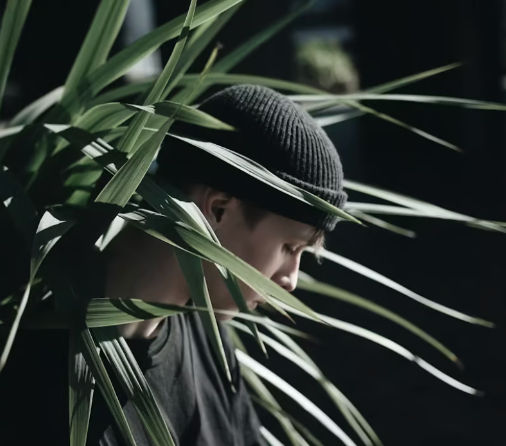 bmcdaniel (silverrew.lens) Lens social identity (.lens handle) PFP