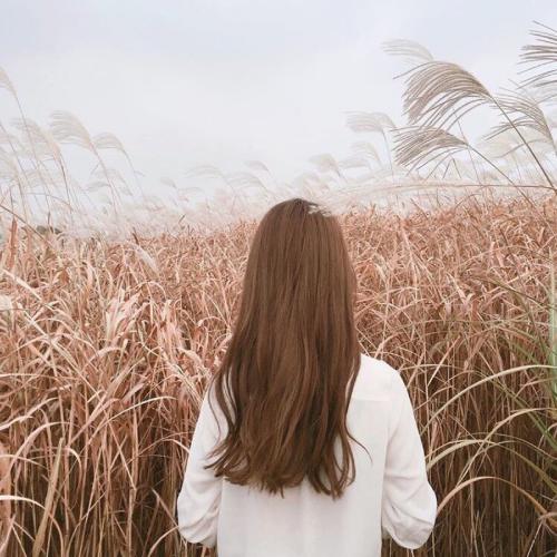 ayeks (sketchbook.lens) Lens social identity (.lens handle) PFP