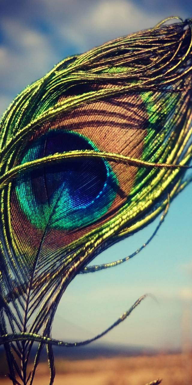 ArtistryNFT (artistrynft.lens) Lens social identity (.lens handle) PFP