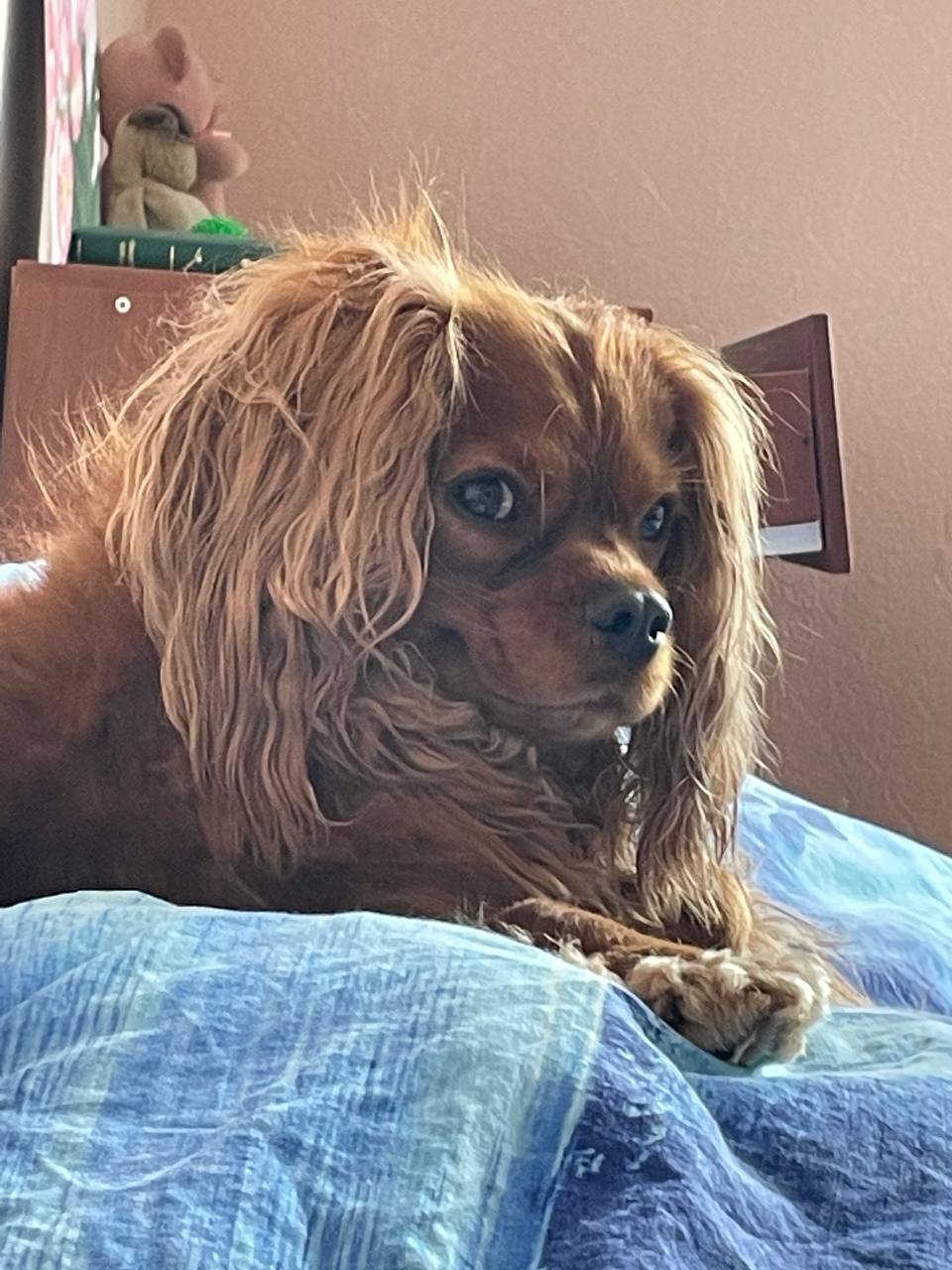 Rustam (influencer_.lens) Lens social identity (.lens handle) PFP