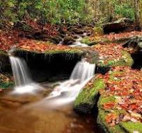 ariyan (ariyan1ar.lens) Lens social identity (.lens handle) PFP