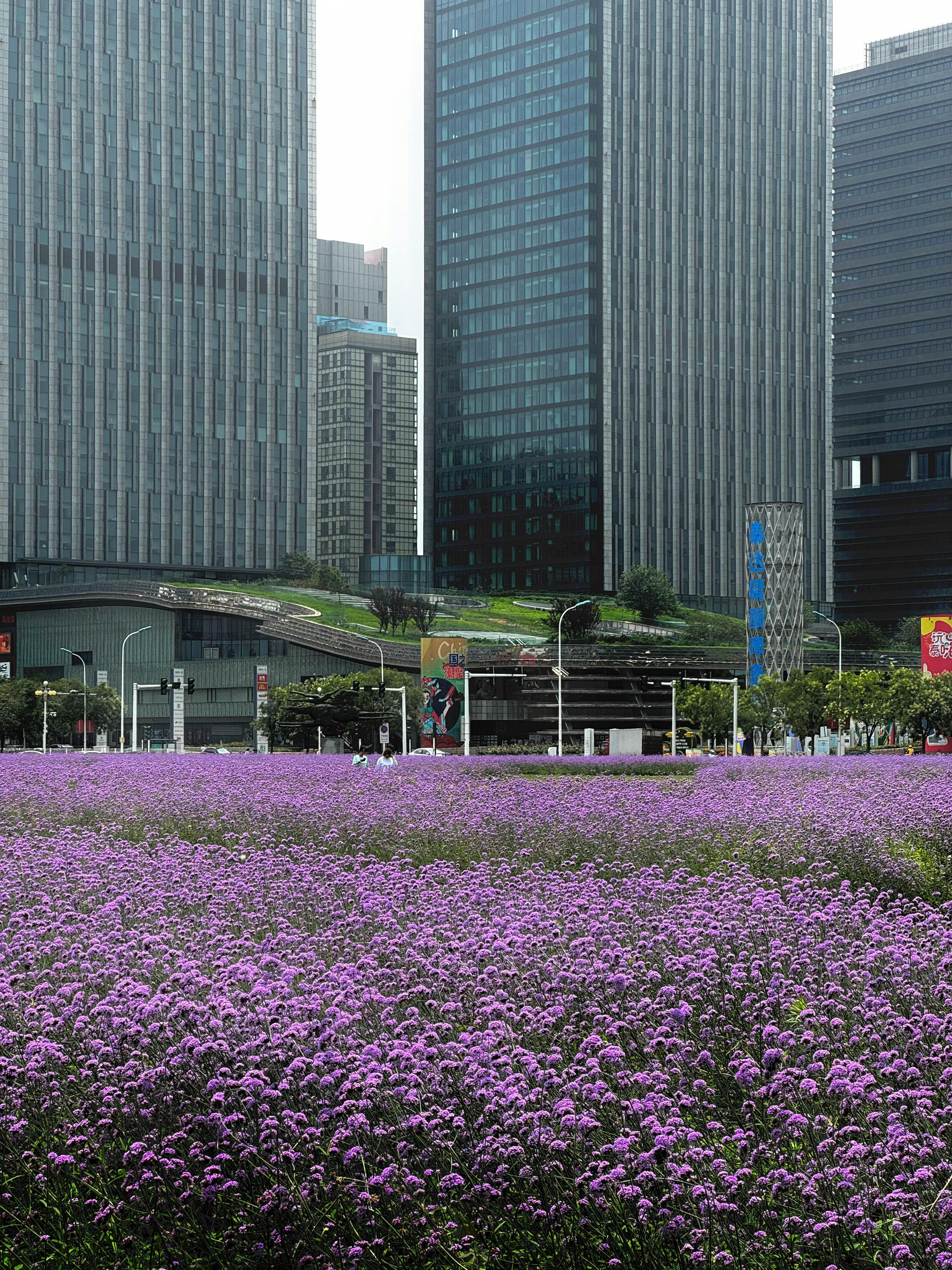 riley (uuujiiu.lens) Lens social identity (.lens handle) PFP