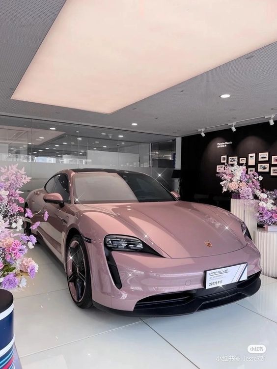 Piqq (pltiq.lens) Lens social identity (.lens handle) PFP