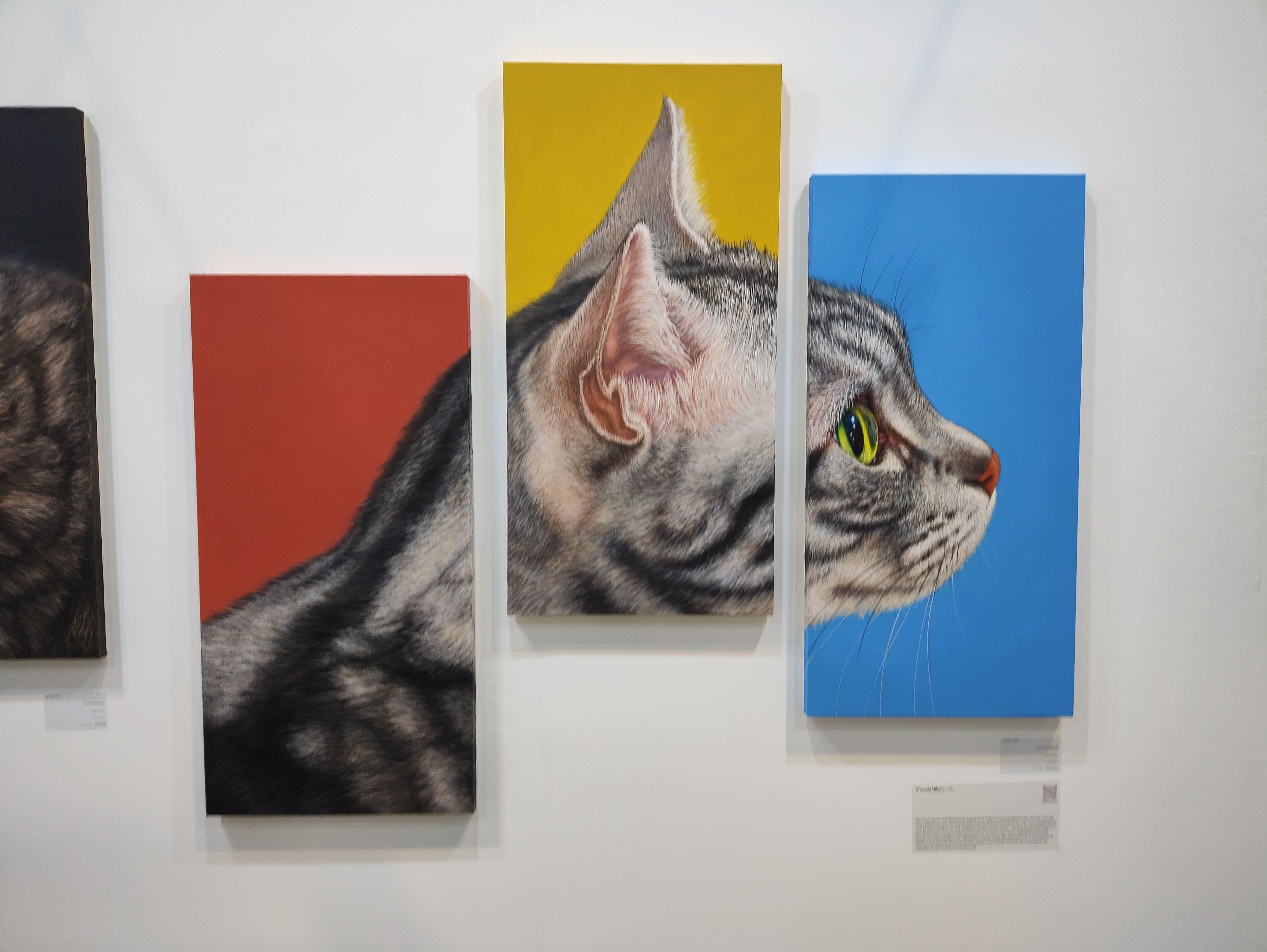 bikeww (bikeww.lens) Lens social identity (.lens handle) PFP