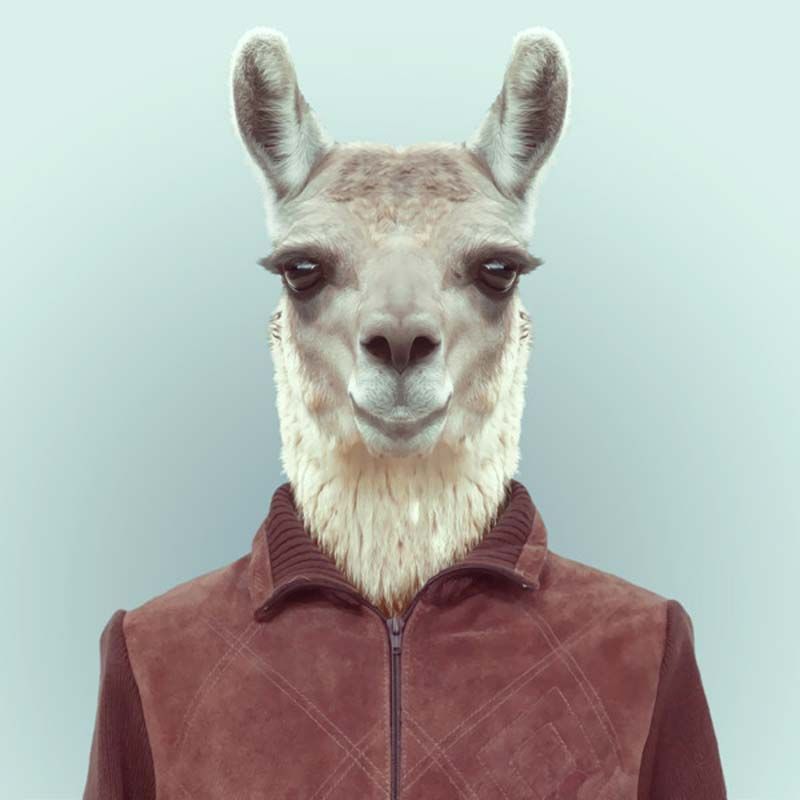 Dina (four5.lens) Lens social identity (.lens handle) PFP