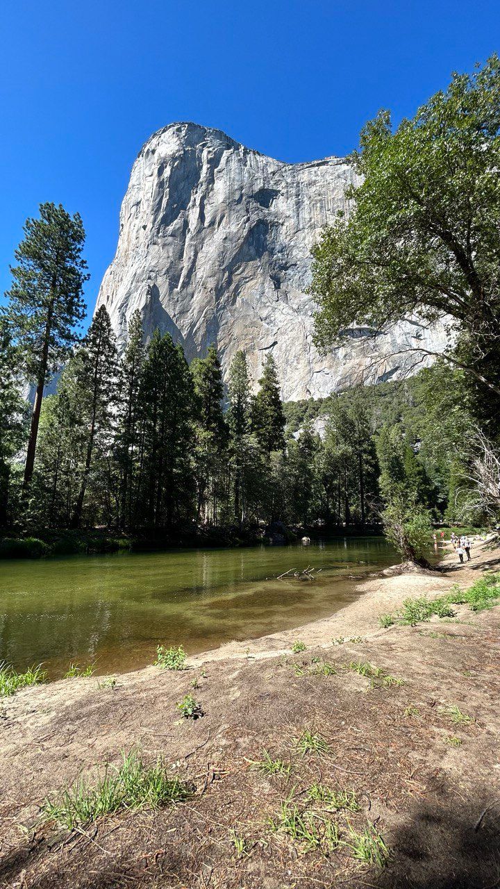 Nicaghost (nicaghost.lens) Lens social identity (.lens handle) PFP