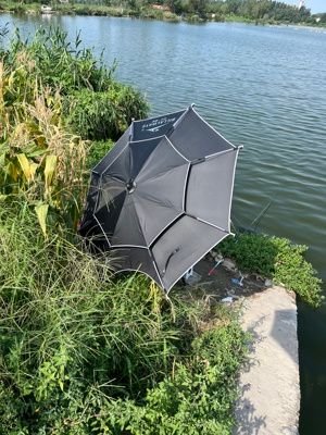 y1991.lens Lens social identity (.lens handle) PFP