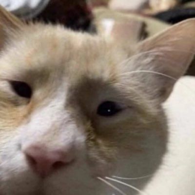 odiinnn (odiinnn.lens) Lens social identity (.lens handle) PFP