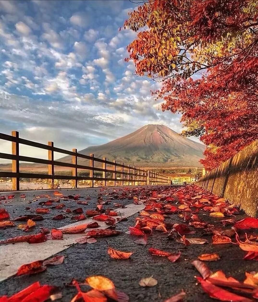 777666888.linea.eth Linea Name Service (.linea.eth domains) based on ENS PFP