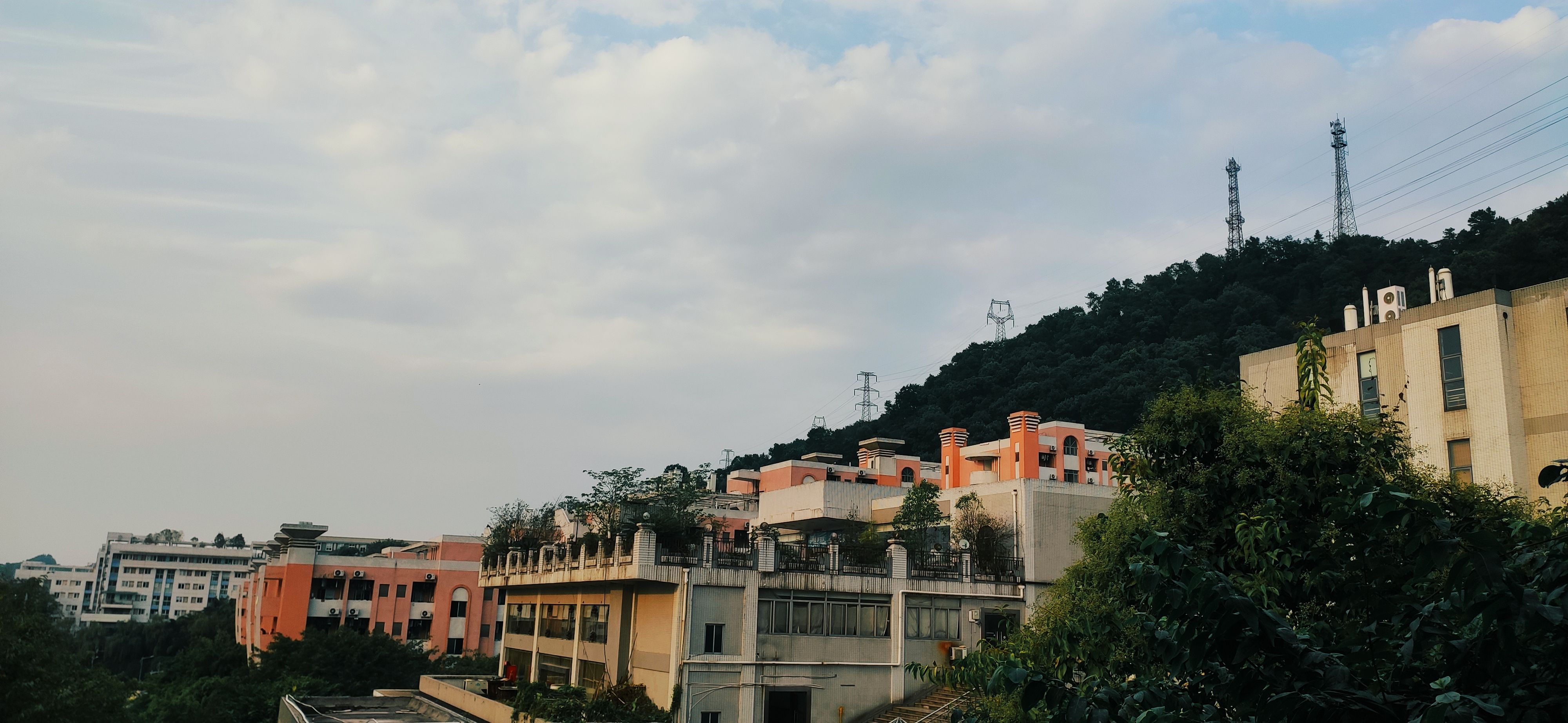 hammy (csaca.lens) Lens social identity (.lens handle) PFP