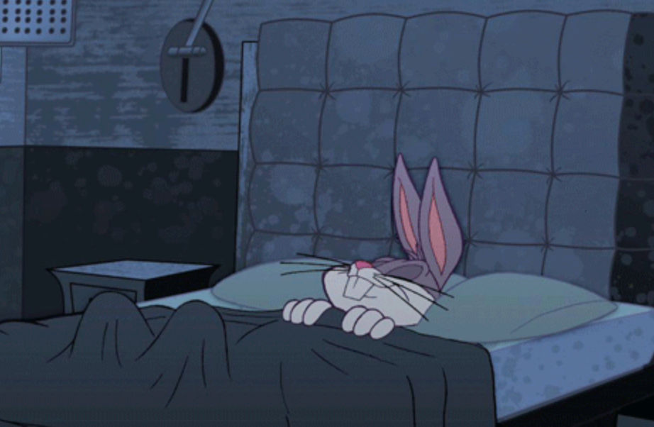 Smart Bunny (smartbunny.lens) Lens social identity (.lens handle) PFP