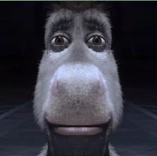 Oslik (vodila.lens) Lens social identity (.lens handle) PFP