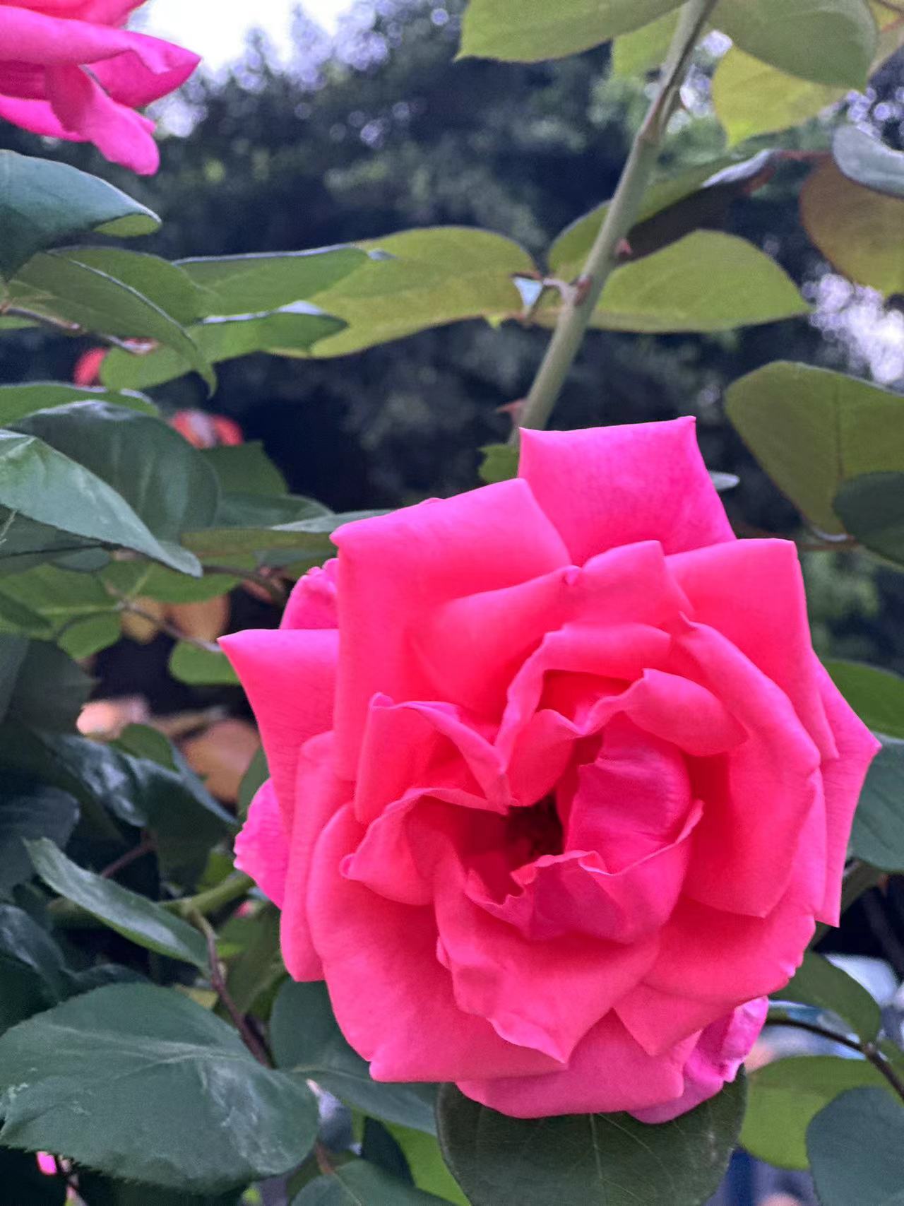 The sun shines all alone but the old people are missing (djhsfj5h.lens) Lens social identity (.lens handle) PFP