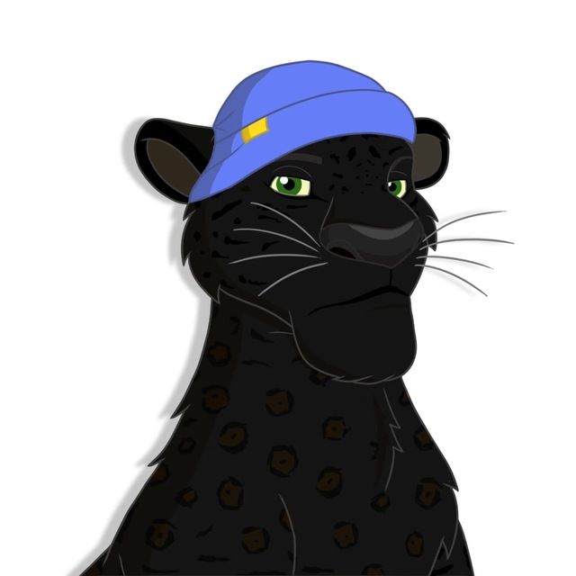 Uai's Lens avatar