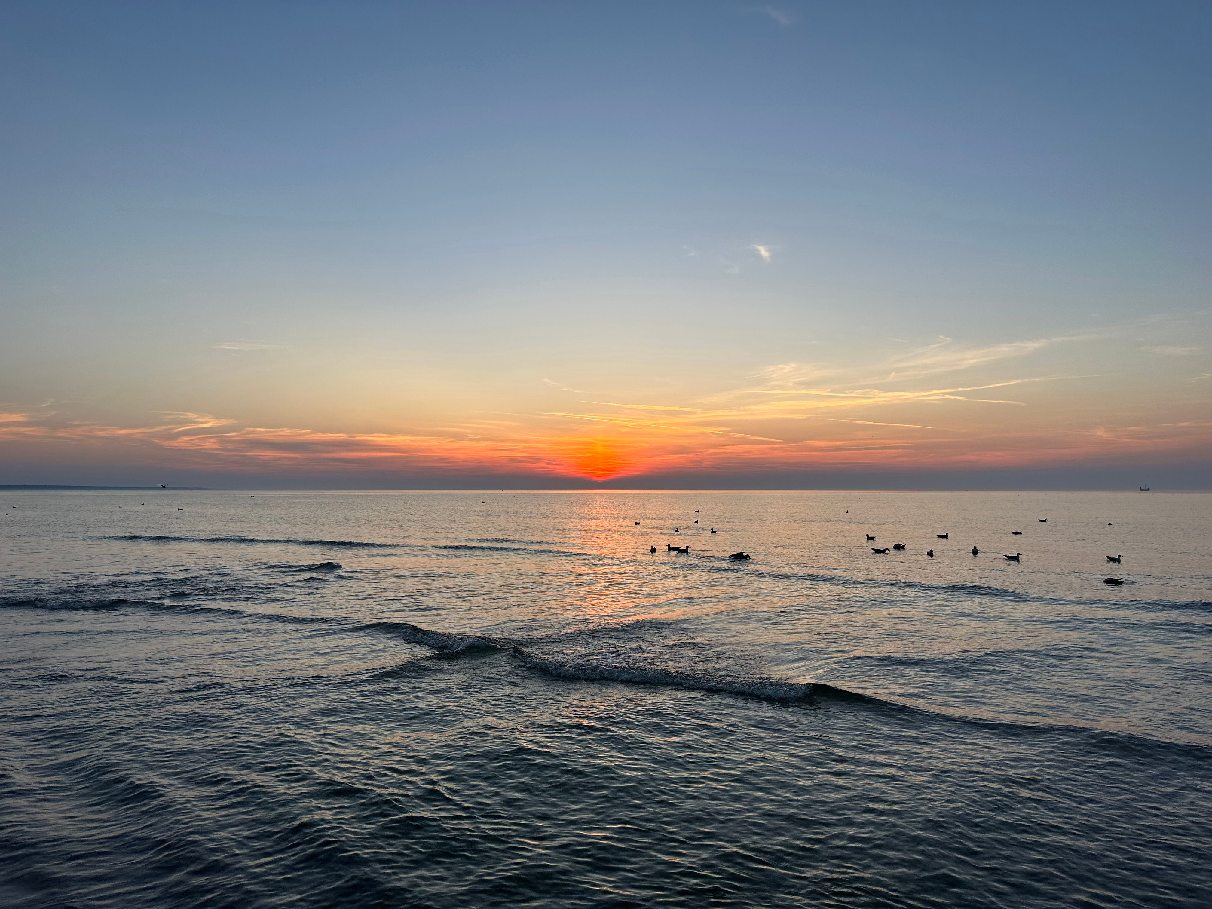 freddiea (freddiea.lens) Lens social identity (.lens handle) PFP