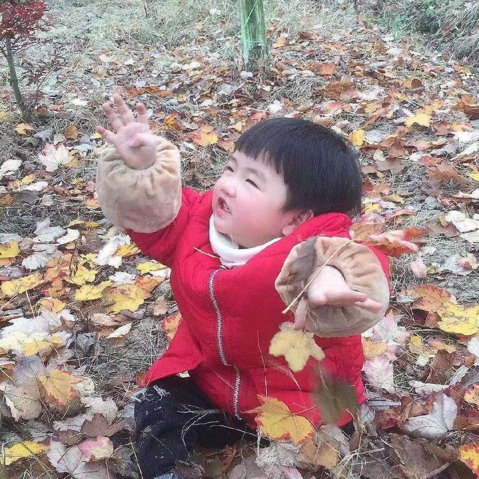 fgshs8236 (fshtwte8888.lens) Lens social identity (.lens handle) PFP