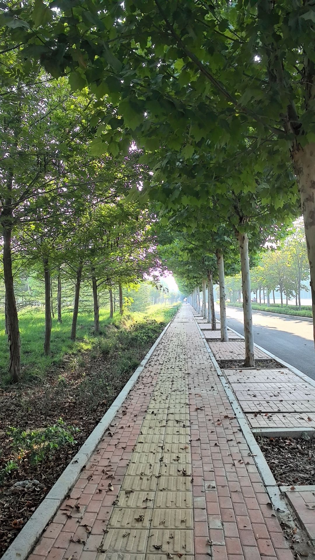 shy87093 (shy87093.lens) Lens social identity (.lens handle) PFP