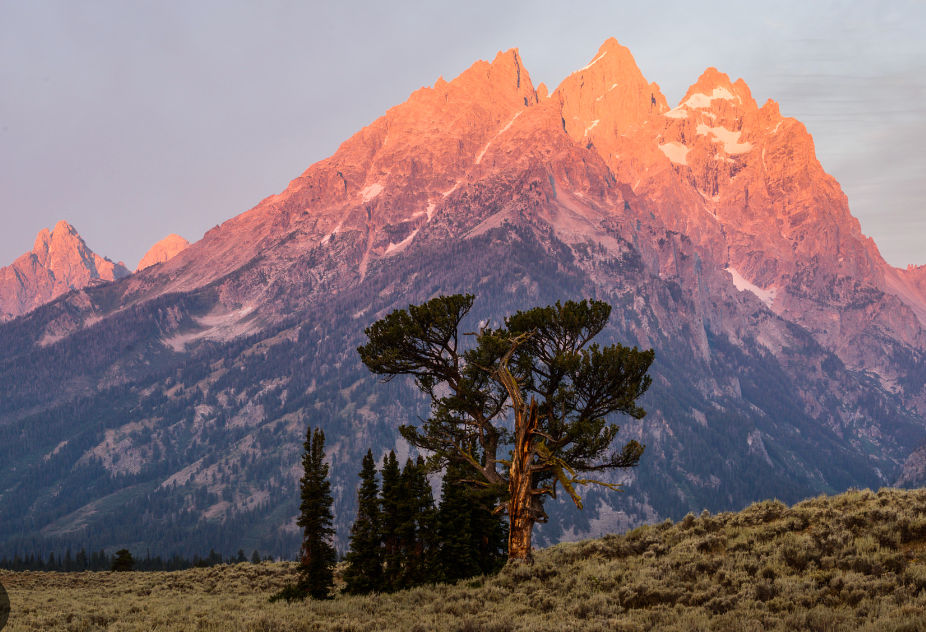 bryson (bryson040.lens) Lens social identity (.lens handle) PFP