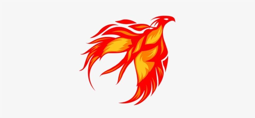 Fenghuang's Lens avatar