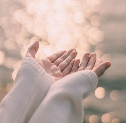 Behealthy (behealthy.lens) Lens social identity (.lens handle) PFP